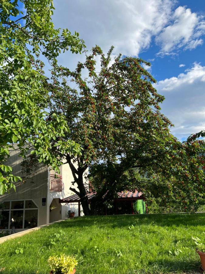Apartament Green Valley Omiš Kültér fotó